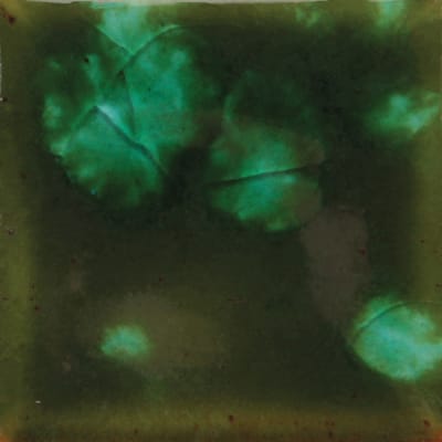 CG-707 WOODLAND FANTASY