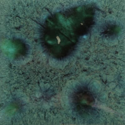 CG-713 PEACOCK GREEN