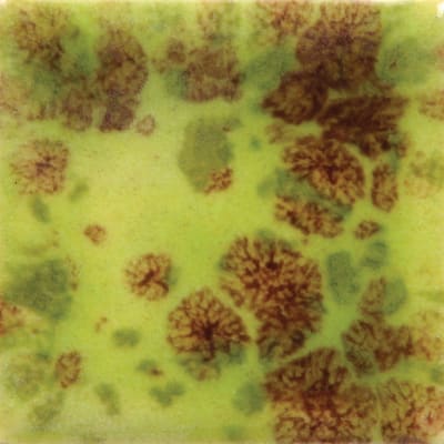 CG-717 PISTACHIO