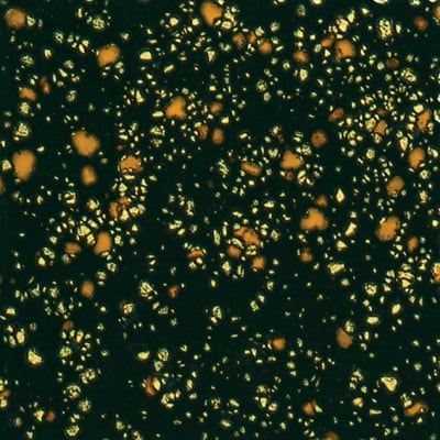 CG-798 BLACK IRIS