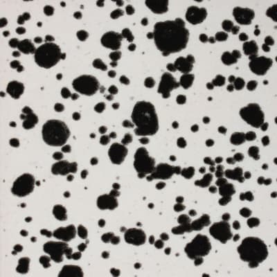 CG-977 INK SPOTS