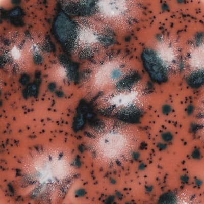 CG-980 CORAL PUFF