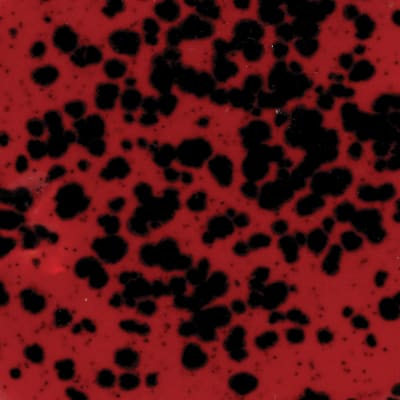 CG-984 LADYBUG