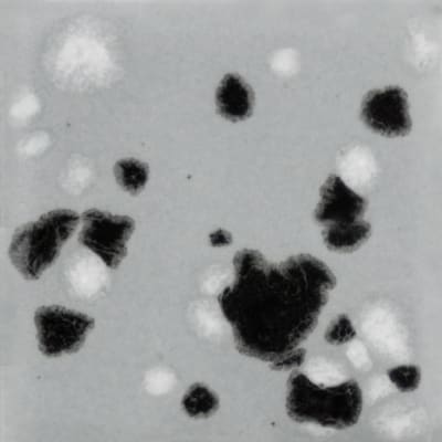 CG-1016 ASTEROID