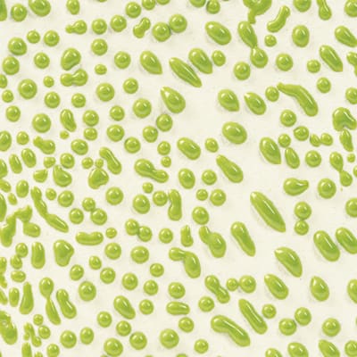 CR-41 LIME