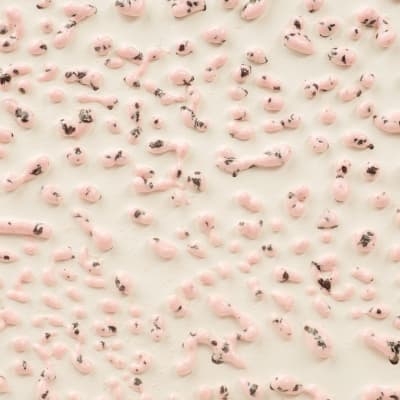 CR-51 SPECKLED PINK
