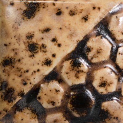 EL-212 SPOTTED WALNUT