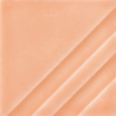 FN-208 CRYSTAL CORAL
