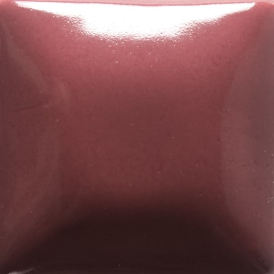 FN-025 RASPBERRY WHIP