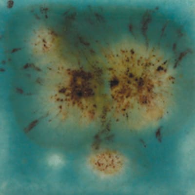 S-2724 LOTUS BLOSSOM
