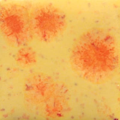 S-2729 CITRUS SPLASH