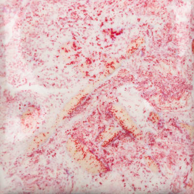 SW-226 PINK PEARL