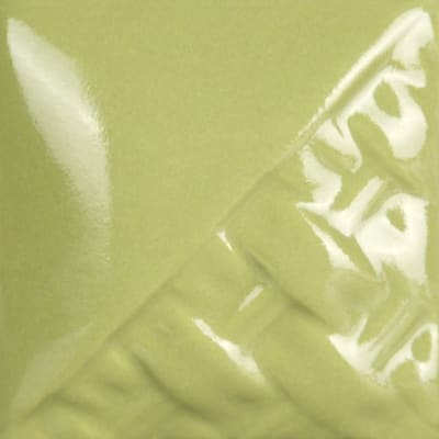 SW-514 SAGE GLOSS