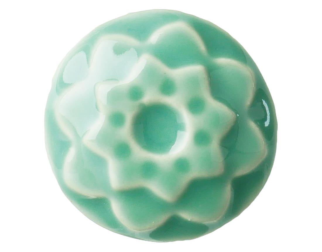 C-24 SUCCULENT1
