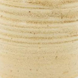 C-62 GOLDEN TAN1