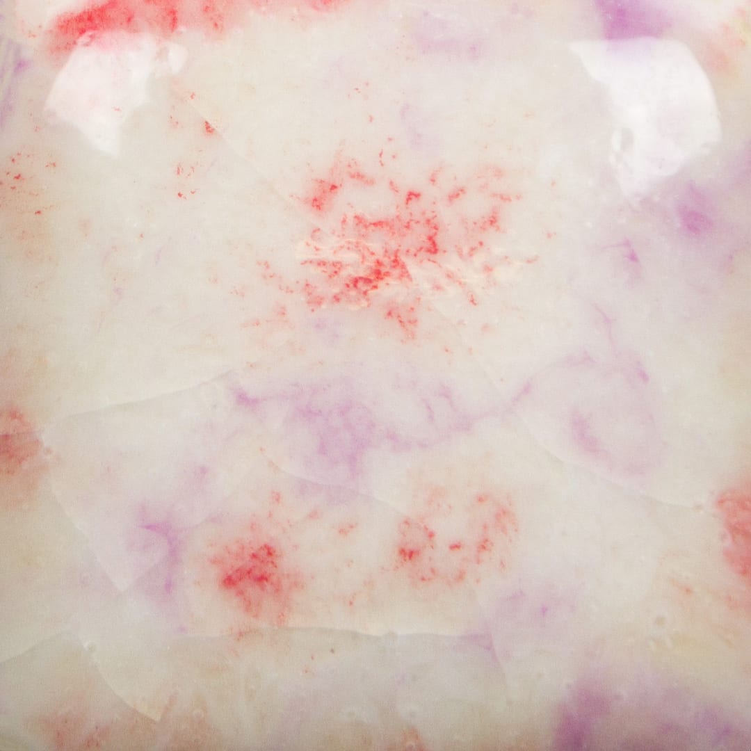 CG-1004 BERRY TART2