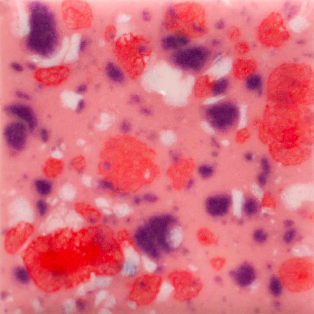 CG-1004 BERRY TART1