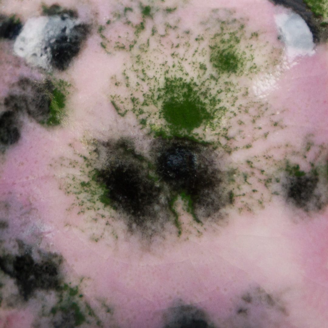 CG-1005 MAROON LAGOON2