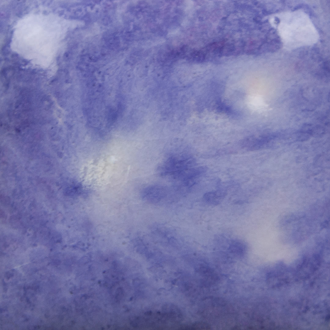 CG-1006 PURPLE REIGN2