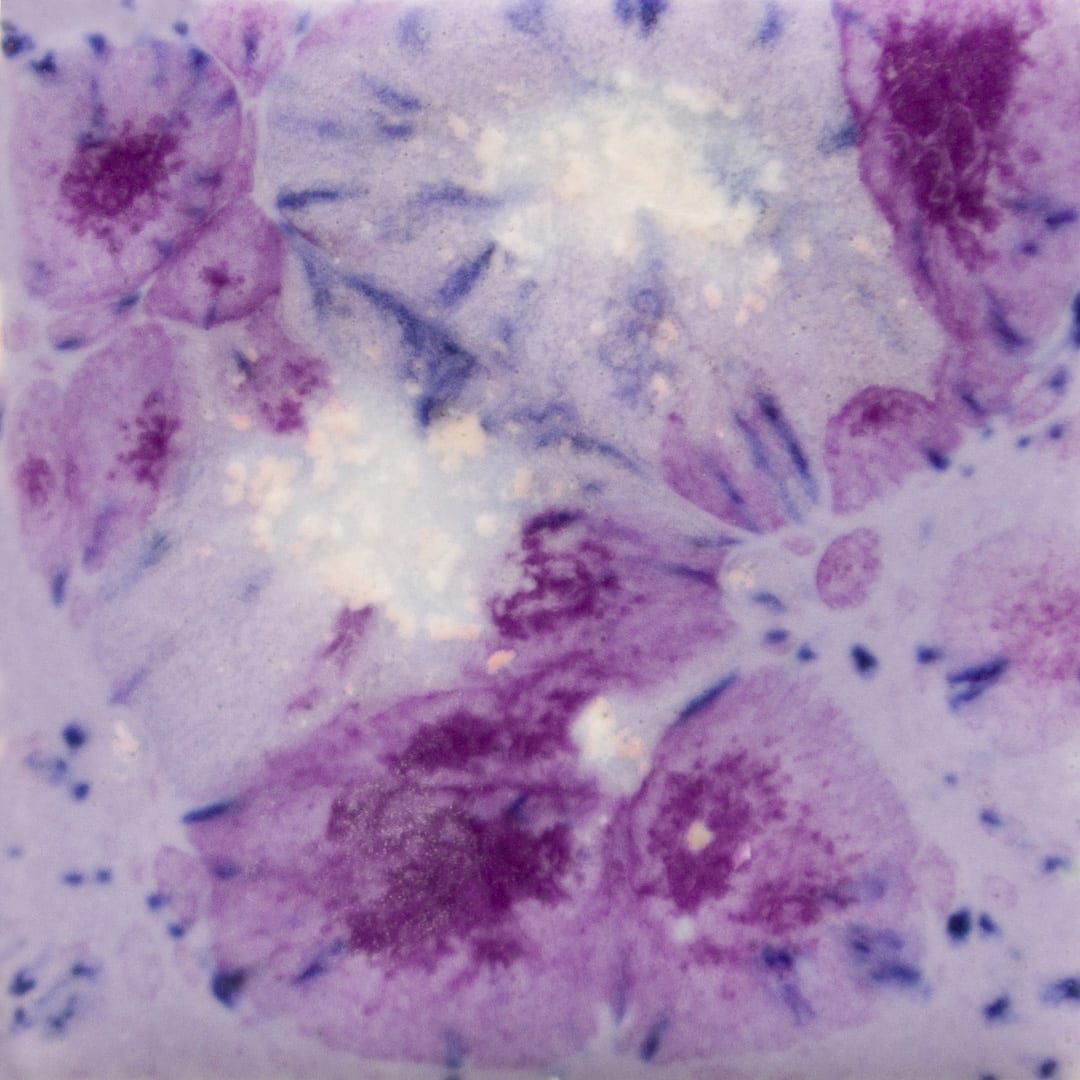 CG-1006 PURPLE REIGN1