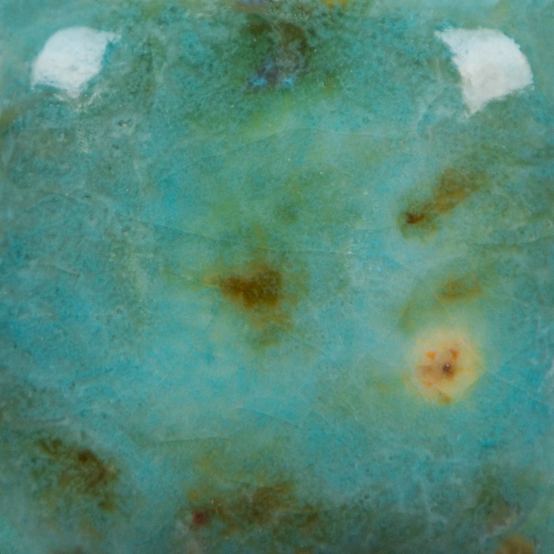 CG-1008 BLUE GUPPY2