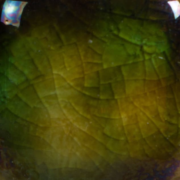 CG-707 WOODLAND FANTASY2