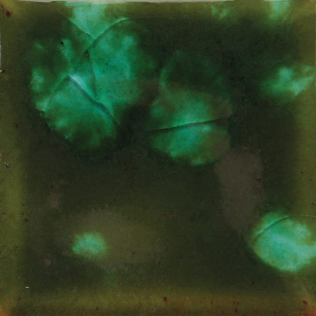 CG-707 WOODLAND FANTASY1