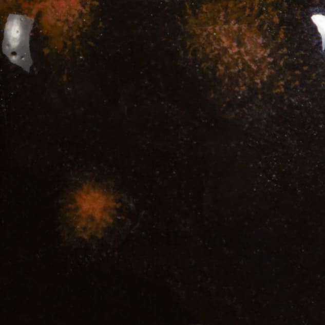 CG-779 BLACK OPAL2