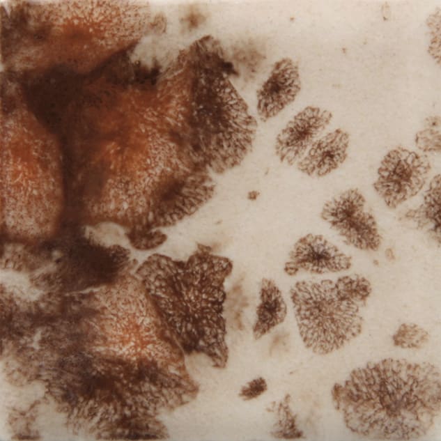CG-795 YADRO PRINT1