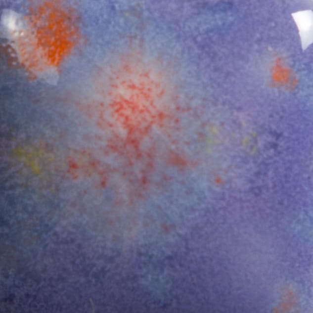 CG-969 FLORAL FANTASY2