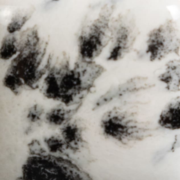 CG-977 INK SPOTS2