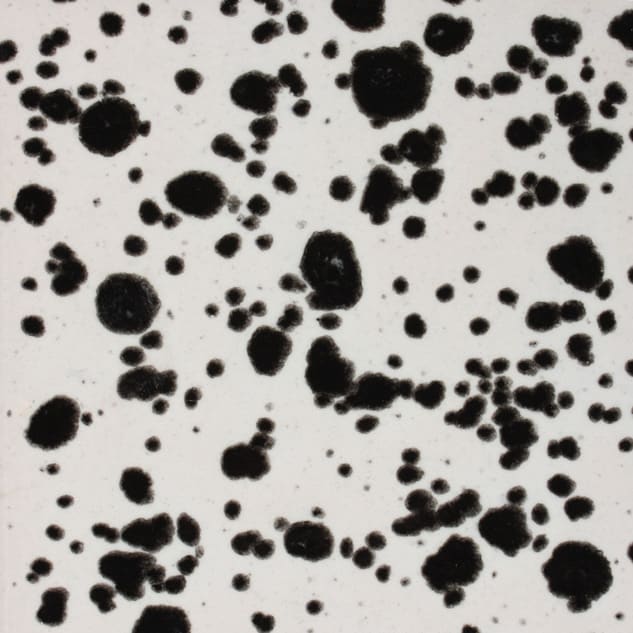 CG-977 INK SPOTS1