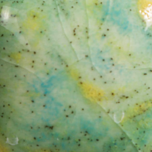 CG-979 MEADOW2