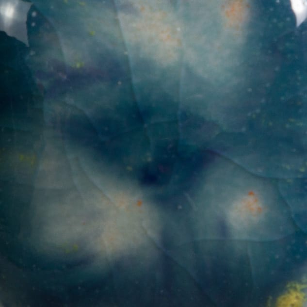 CG-983 KOI POND2