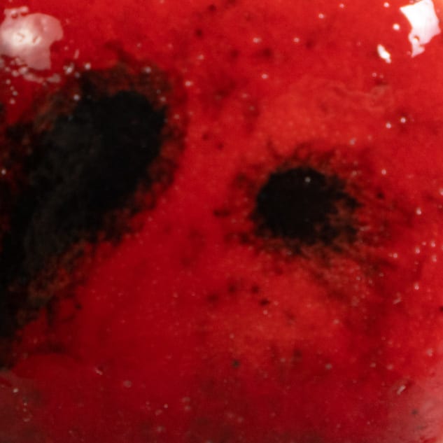 CG-984 LADYBUG2