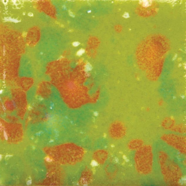 CG-987 TREE FROG1
