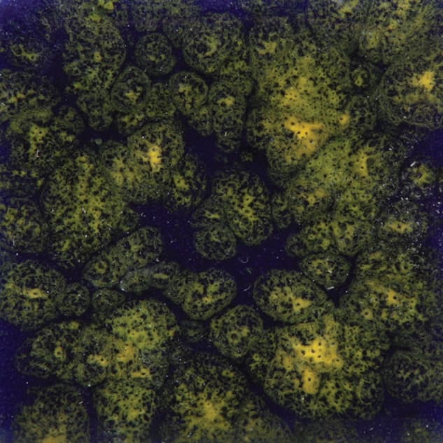 CG-990 STARRY NIGHT1