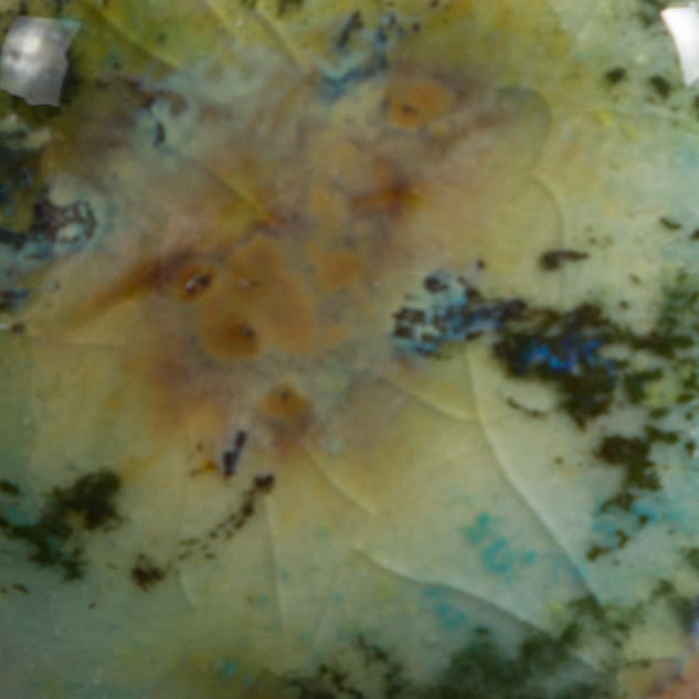 CG-991 MOUNTAIN MOSS2