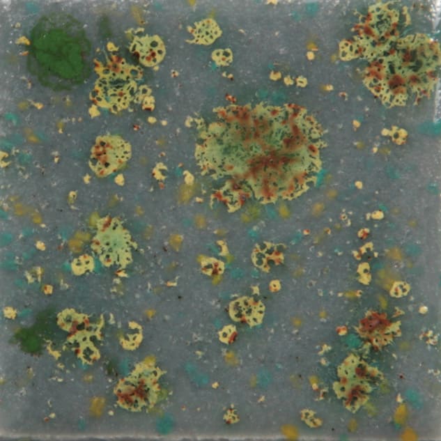 CG-991 MOUNTAIN MOSS1