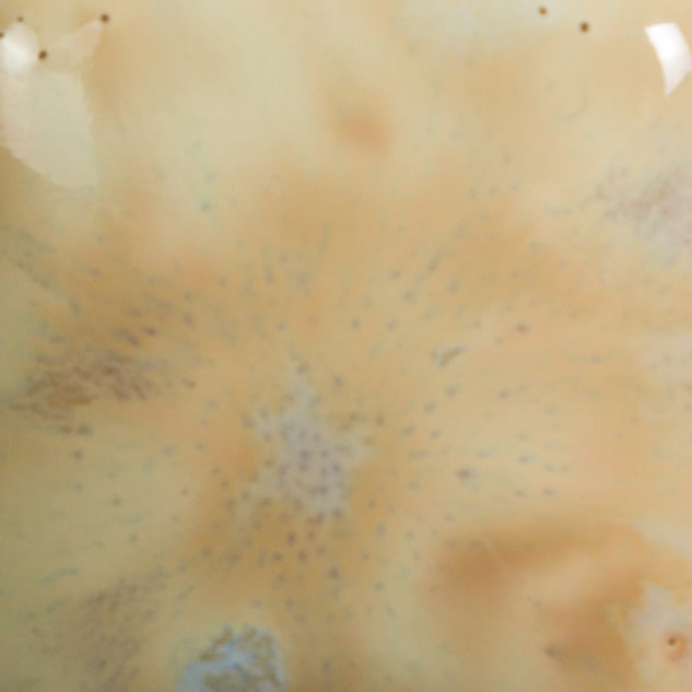 CG-993 LAVENDER SPRIGS2