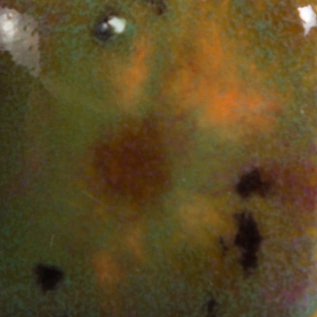 CG-994 FIELD AND FLOWERS2