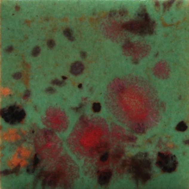 CG-994 FIELD AND FLOWERS1