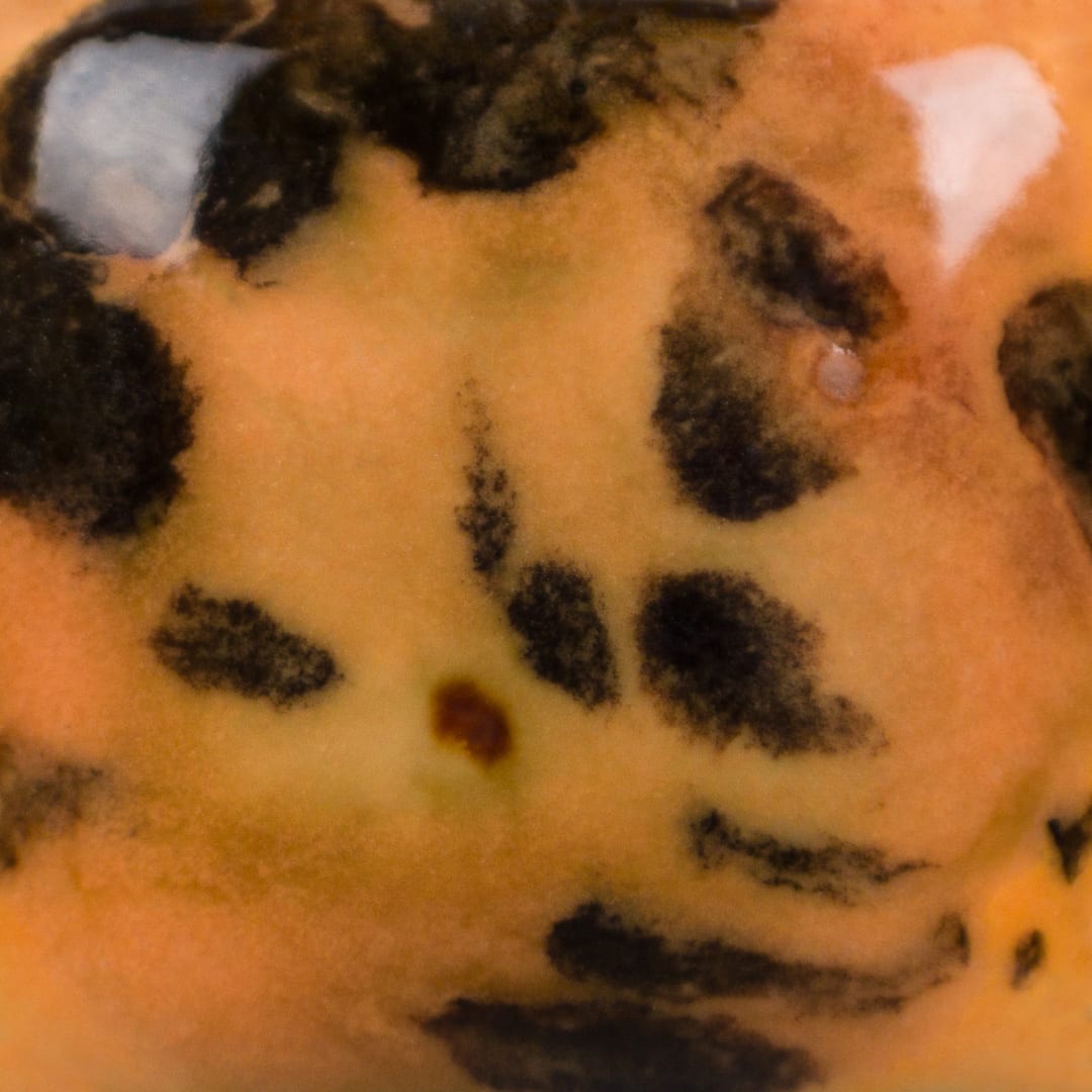 CG-1013 PAPAYA3