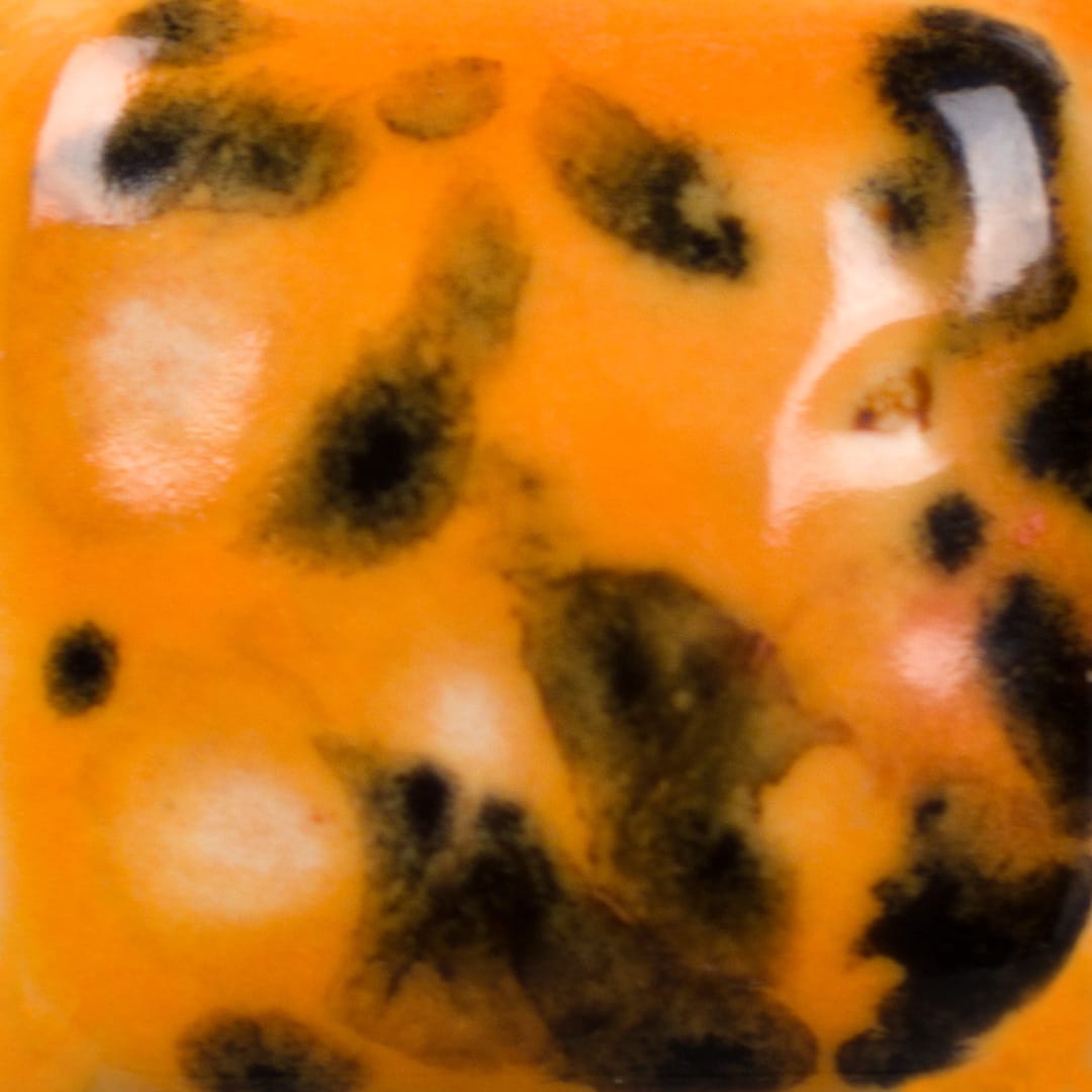 CG-1013 PAPAYA2