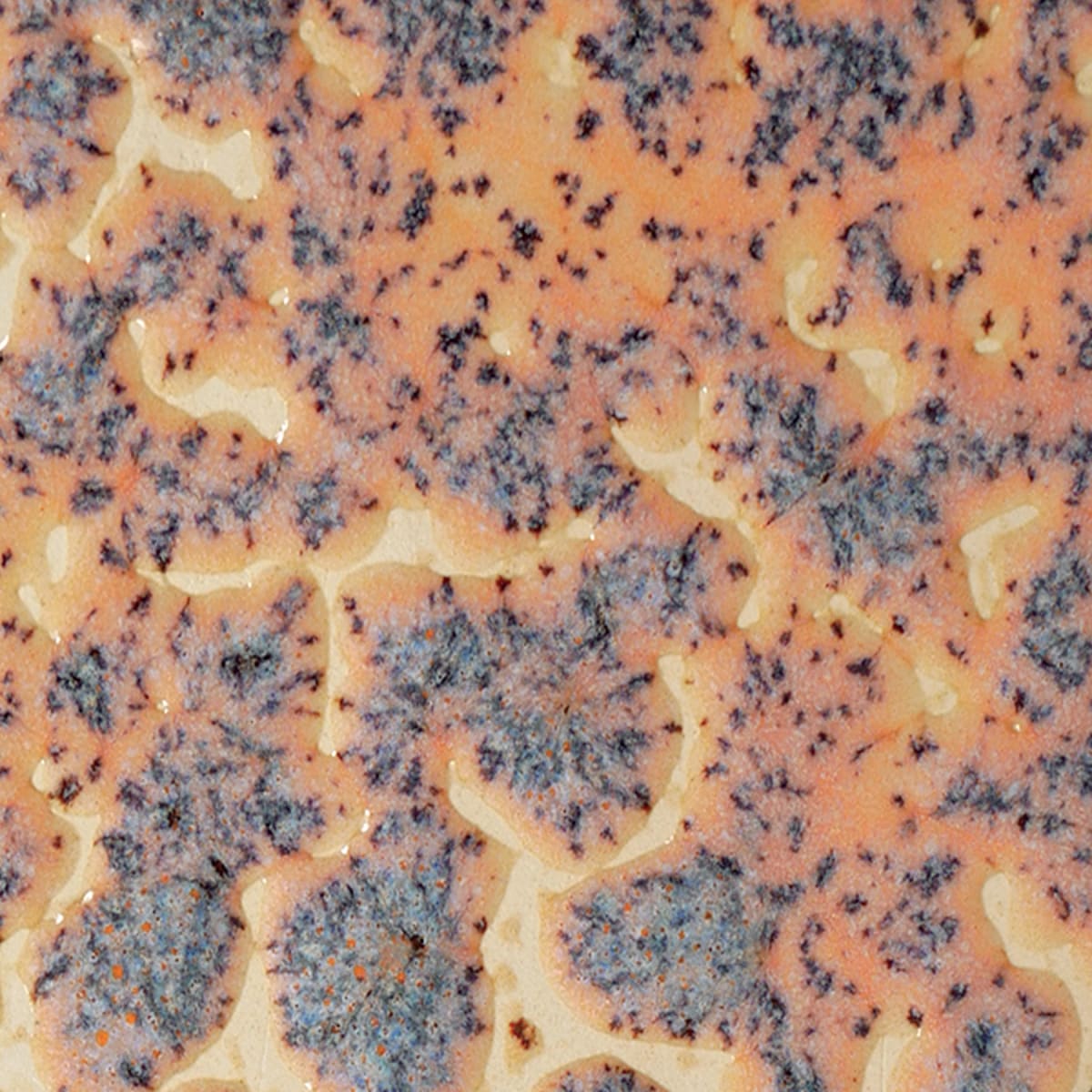 CR-18 SPECKLED FLUX CRAWL1