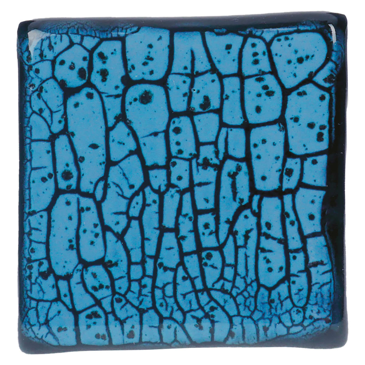 CR-22 SPECKLED TEAL2