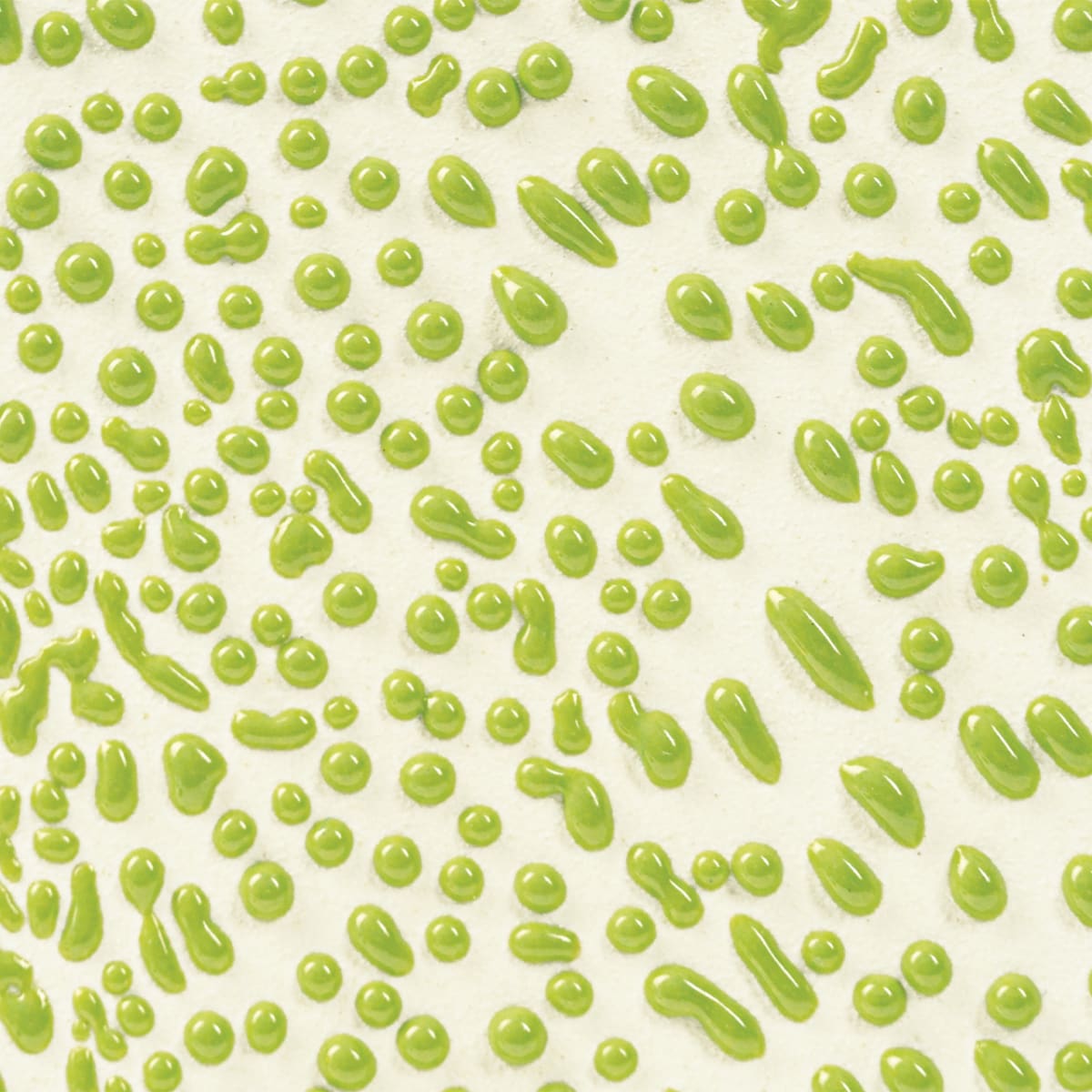 CR-41 LIME1