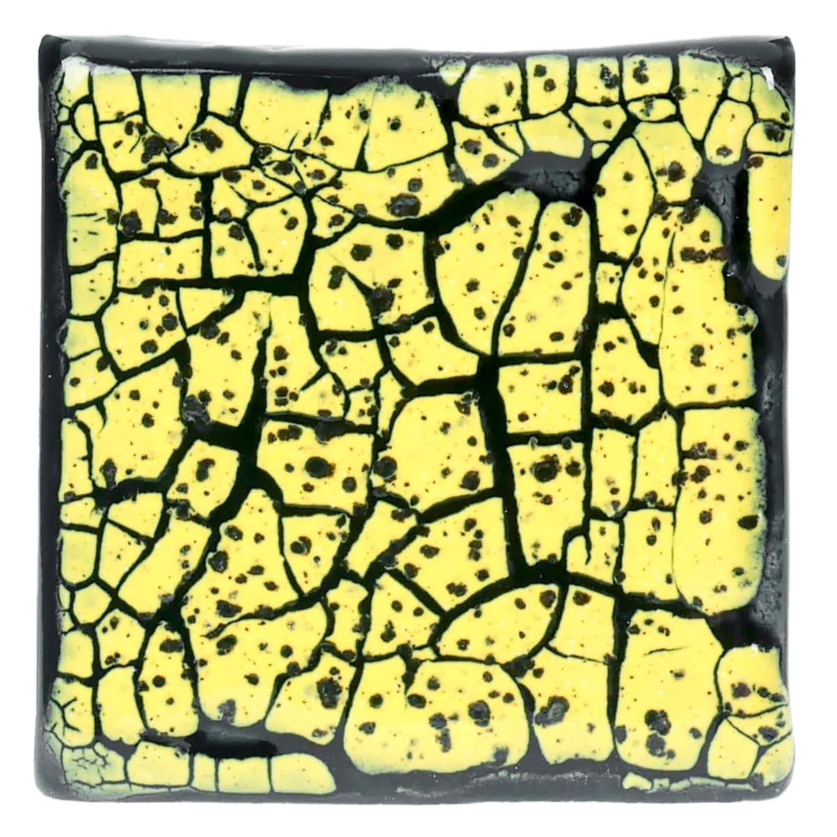 CR-61 SPECKLED YELLOW2