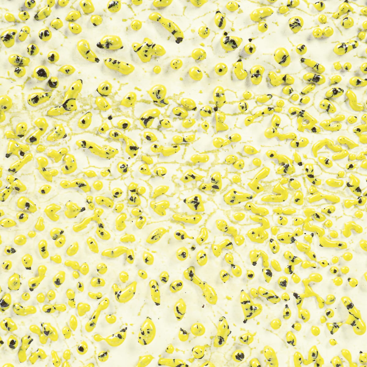 CR-61 SPECKLED YELLOW1