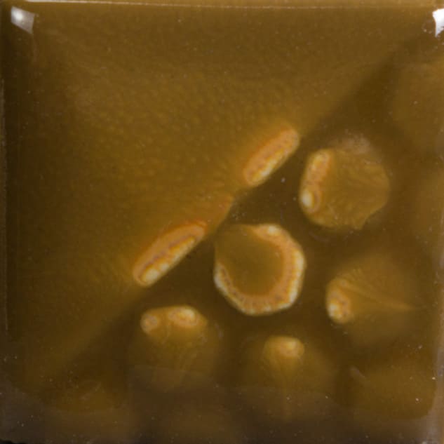 EL-113 SPANISH MOSS2